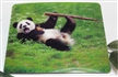 3D Mouse Pad, 3D Lenticular Mousepads